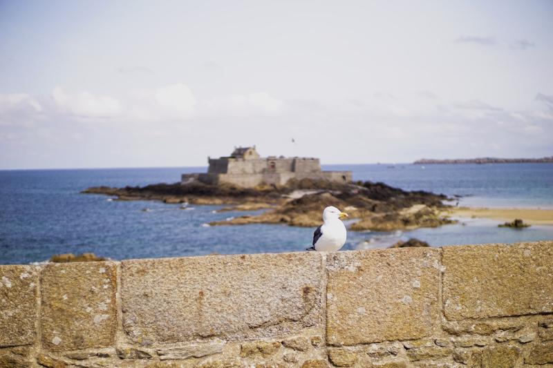 articles/petit-tour-bretagne/SaintMalo/DSC09444.jpg